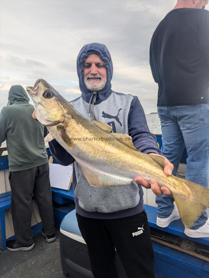 9 lb 1 oz Pollock by Unknown