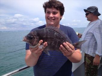 3 lb Black Sea Bream by Jamie Suttle