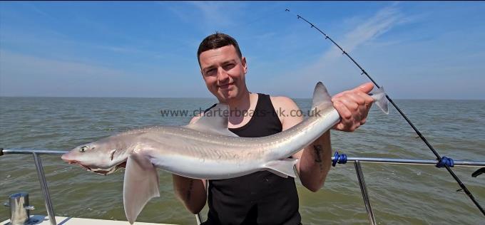 8 lb 14 oz Starry Smooth-hound by Jay