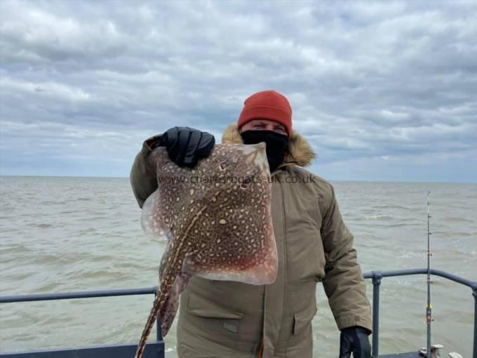 6 lb Thornback Ray by Unknown