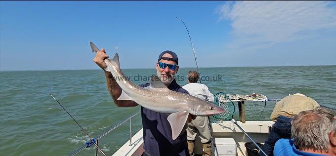 9 lb 12 oz Starry Smooth-hound by Phillippe