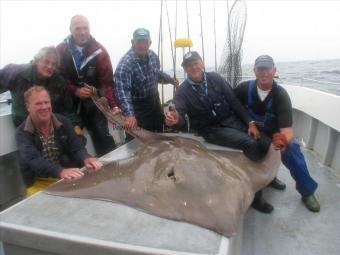 100 Kg Common Skate by Party Plooster