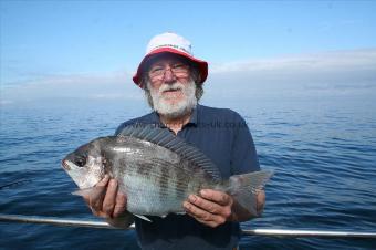 4 lb 11 oz Black Sea Bream by Mick