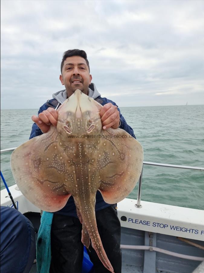 10 lb 15 oz Undulate Ray by Muhammed Abbas Bhanji