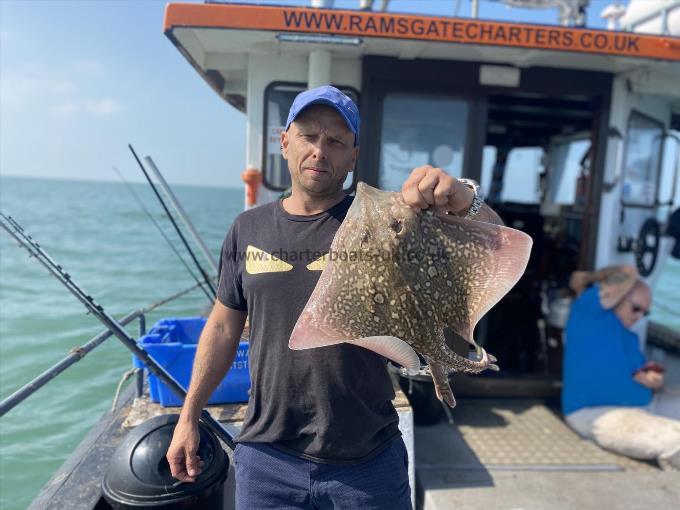 5 lb Thornback Ray by Unknown