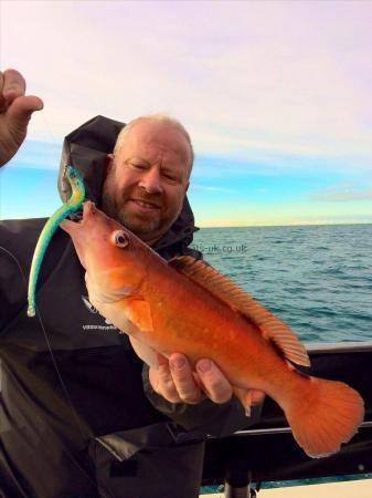 1 lb 13 oz Cuckoo Wrasse by Barney Wright - Total Sea Fishing Editor