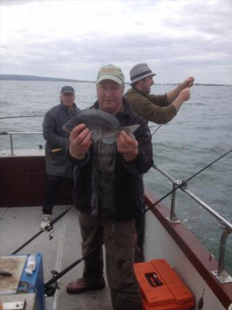 1 lb 9 oz Black Sea Bream by Unknown