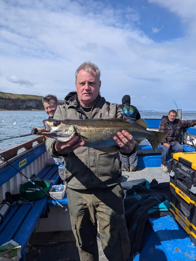 4 lb Pollock by Unknown