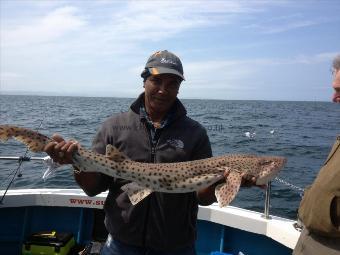 11 lb 4 oz Bull Huss by Geoff Wilson