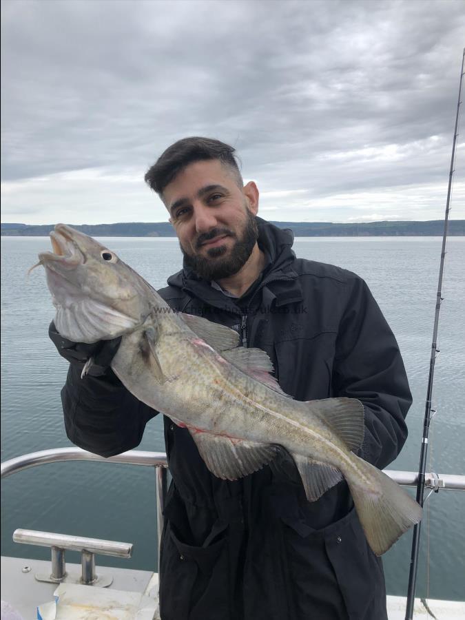 4 lb Cod by Codling - 4lb