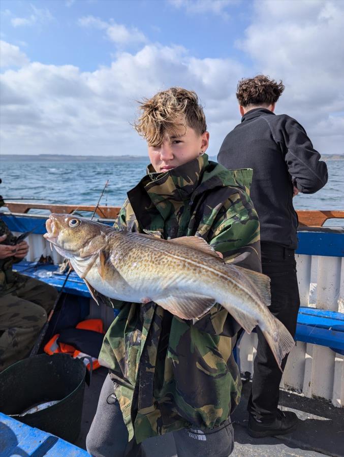 6 lb 3 oz Cod by Unknown