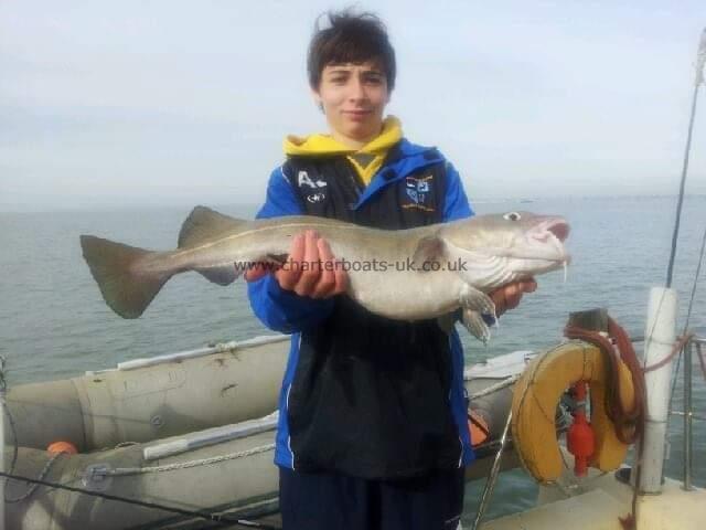 6 lb Cod by Alfie