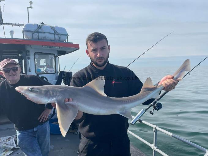 8 lb Thornback Ray by Unknown