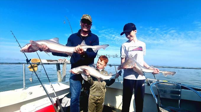 12 lb Starry Smooth-hound by Mark & boys