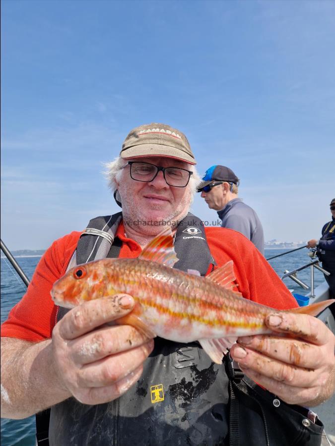 1 lb Red Mullet by Malcom