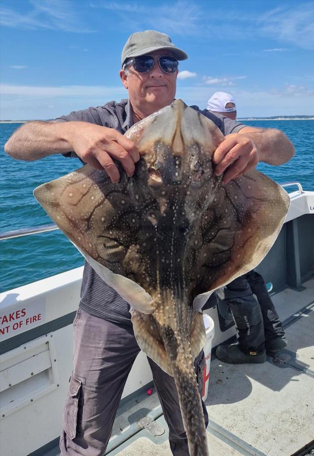 13 lb Undulate Ray by Unknown