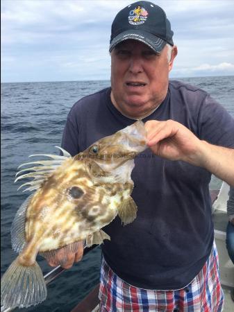 3 lb 4 oz John Dory by Unknown