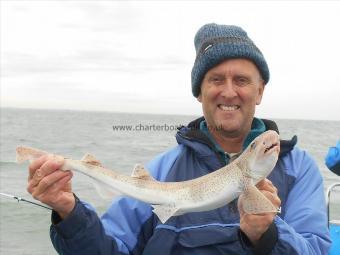 1 lb 15 oz Lesser Spotted Dogfish by Ali Austin