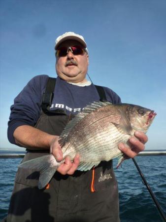 3 lb 6 oz Black Sea Bream by Alan Painter