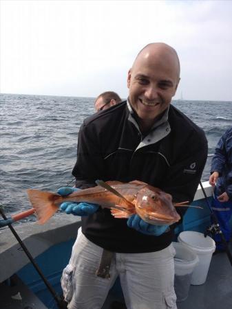 3 lb 6 oz Tub Gurnard by Mike Sandbach