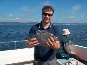 2 lb Black Sea Bream by Unknown