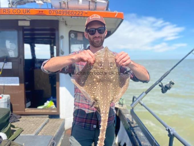 6 lb Thornback Ray by Unknown