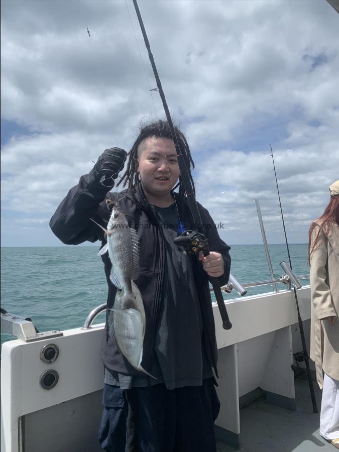 2 lb 2 oz Black Sea Bream by Unknown