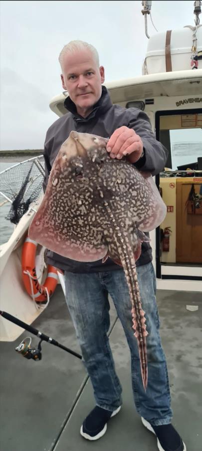 7 lb Thornback Ray by Unknown