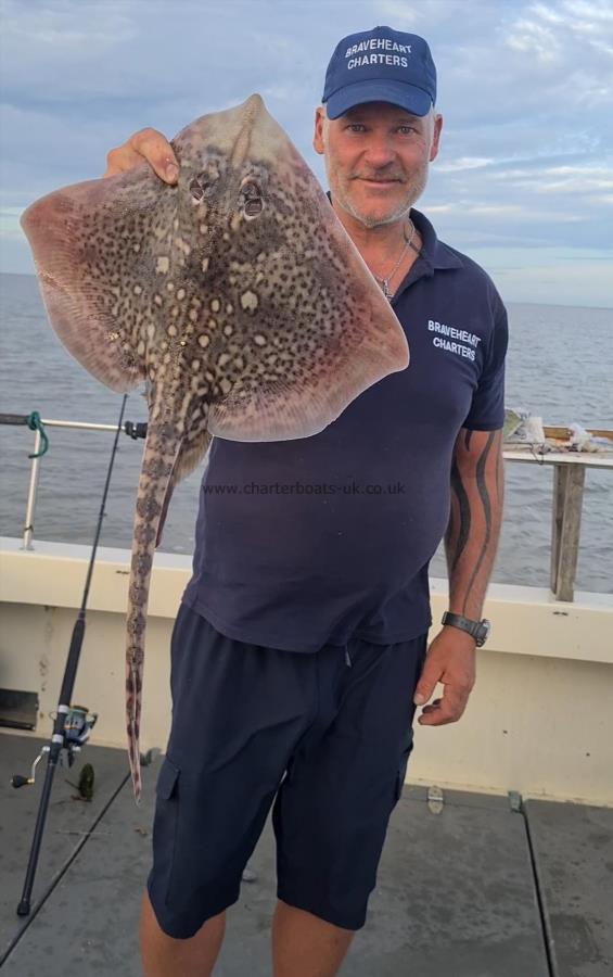 6 lb 3 oz Thornback Ray by Unknown