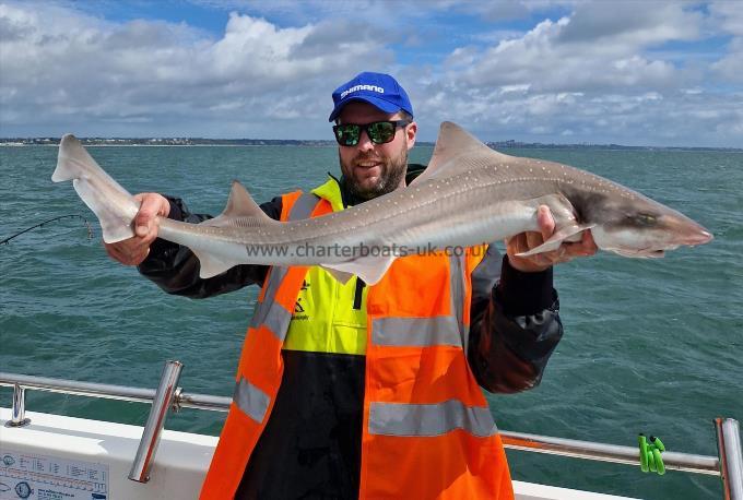 13 lb 2 oz Starry Smooth-hound by Padraic