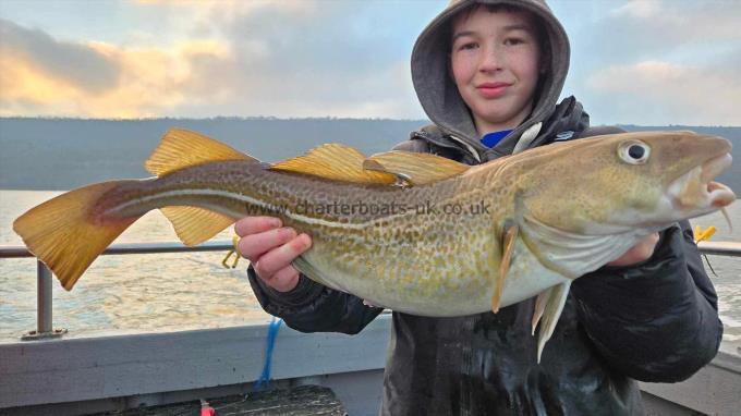 7 lb Cod by Unknown