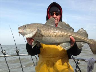 11 lb Cod by Barry Edwards