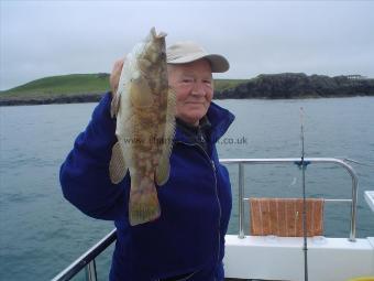 4 lb 7 oz Ballan Wrasse by Billy