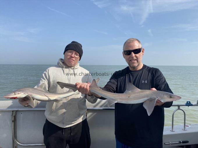 6 lb Smooth-hound (Common) by Unknown