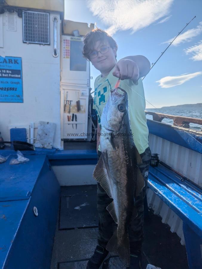 4 lb 8 oz Pollock by Oliver Gough