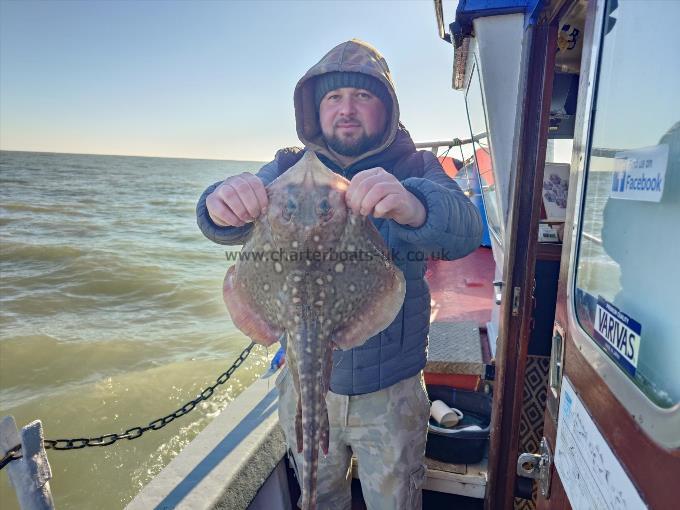 5 lb Thornback Ray by Stuart