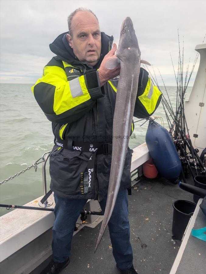 6 lb Conger Eel by Unknown