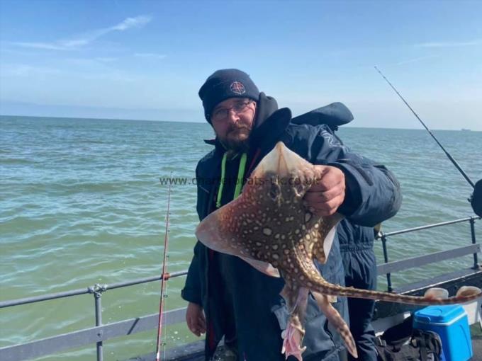 6 lb Thornback Ray by Unknown