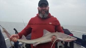 9 lb 8 oz Starry Smooth-hound by Matt