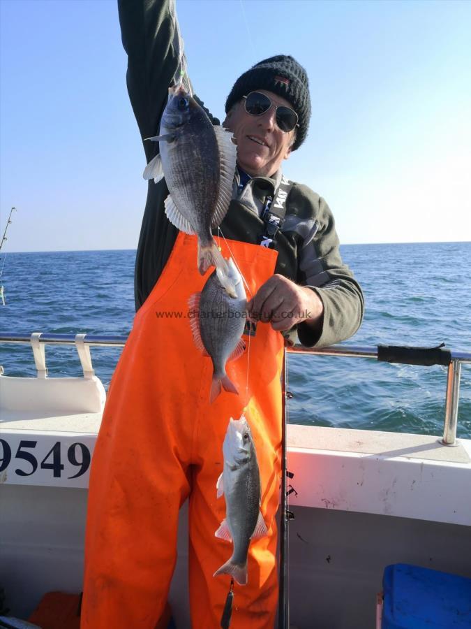 2 lb Black Sea Bream by Terry