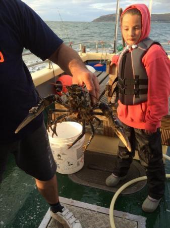 2 lb 5 oz Lobster by Unknown