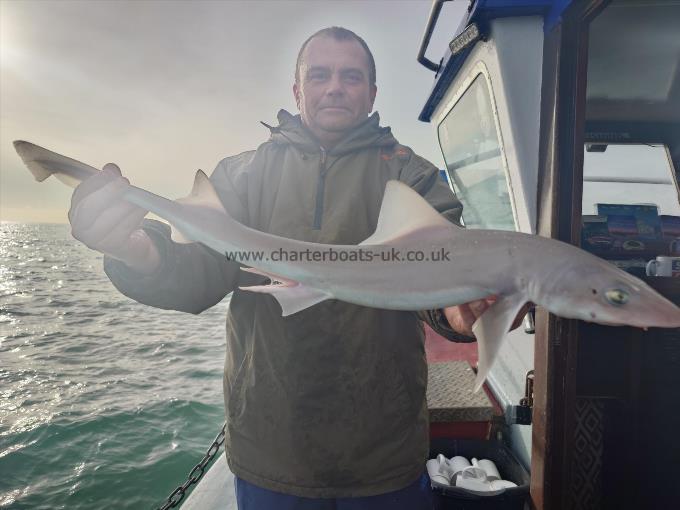 6 lb Smooth-hound (Common) by Ian From Bromley