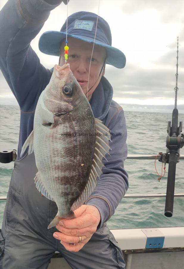 2 lb 9 oz Black Sea Bream by Adrian