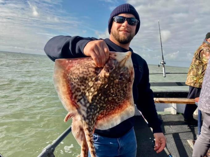 6 lb Thornback Ray by Unknown