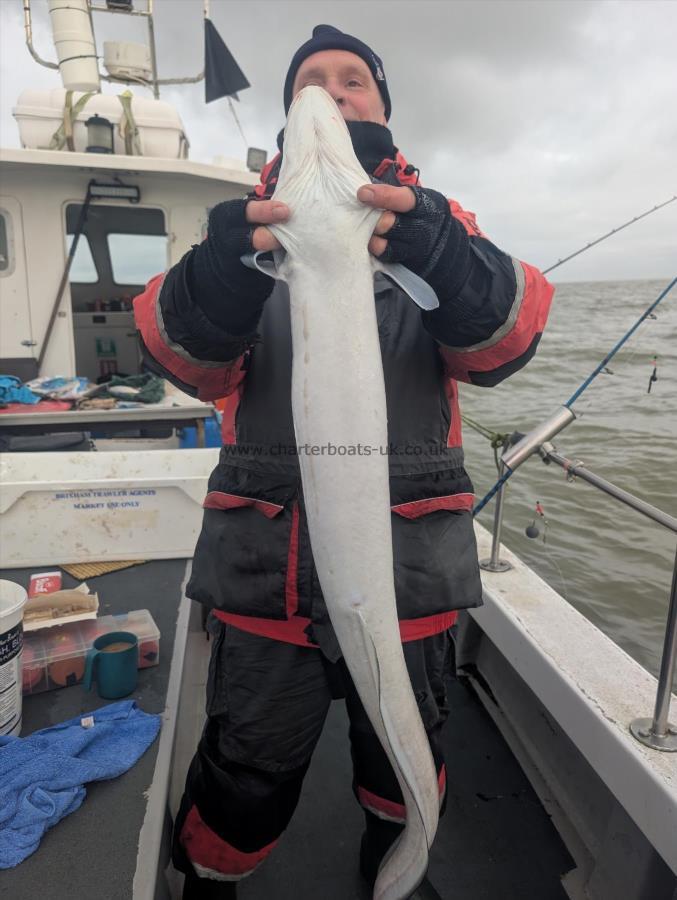 10 lb Conger Eel by Tim