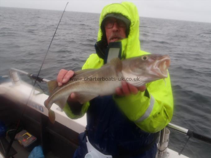 3 lb 5 oz Cod by Unknown