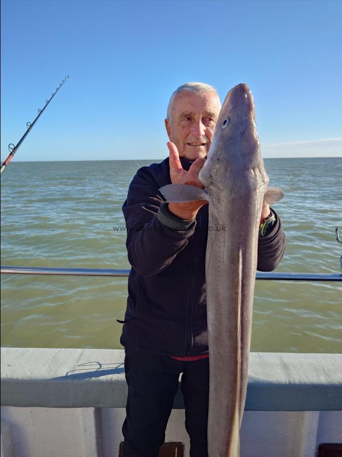 24 lb Conger Eel by Nick