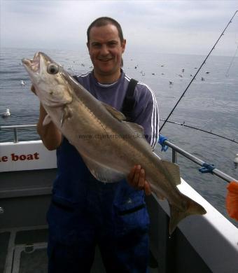 11 lb 8 oz Pollock by Unknown