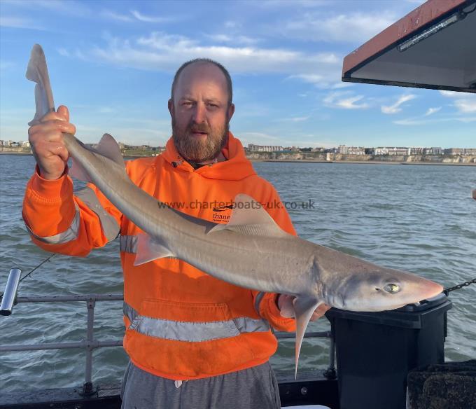 10 lb Smooth-hound (Common) by Unknown