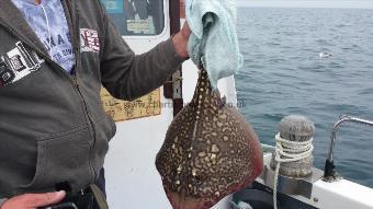 7 lb Thornback Ray by Gary